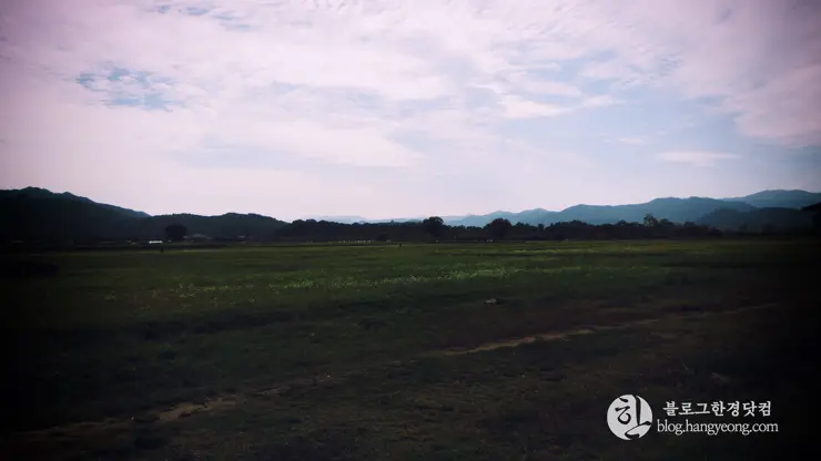 경주여행 2, 백성을 하나로 단결시키는 힘, 신라 호국불교 (동궁과 월지, 분황사, 황룡사지)
