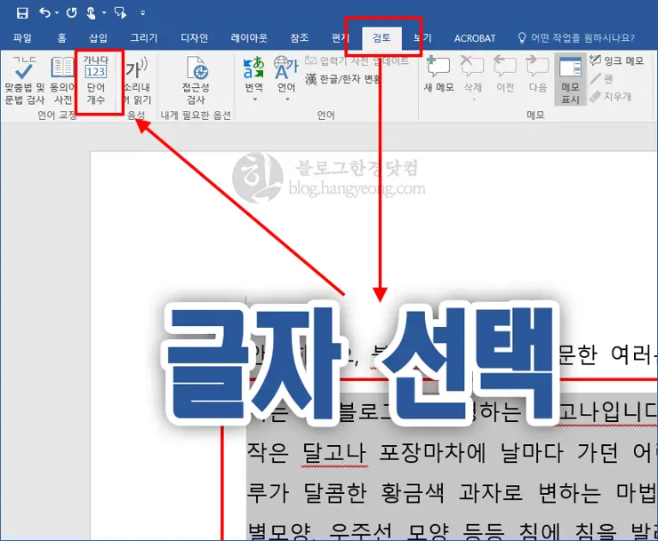 MS워드, 글자수 세기