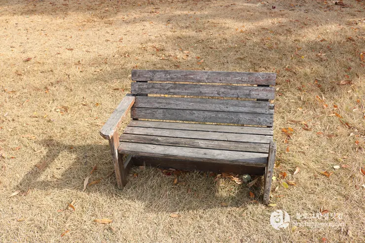 청주 가볼만한곳, 일신여자고등학교 일대 탑동 양관