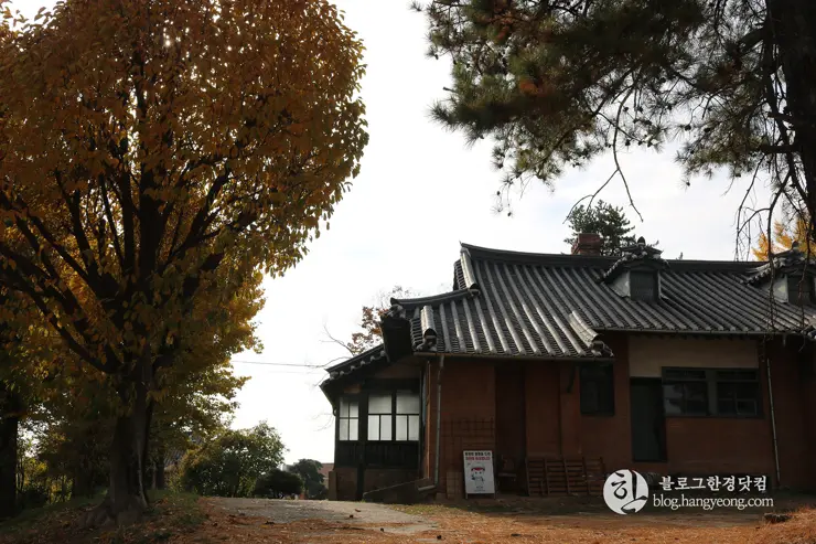 청주 가볼만한곳, 일신여자고등학교 일대 탑동 양관