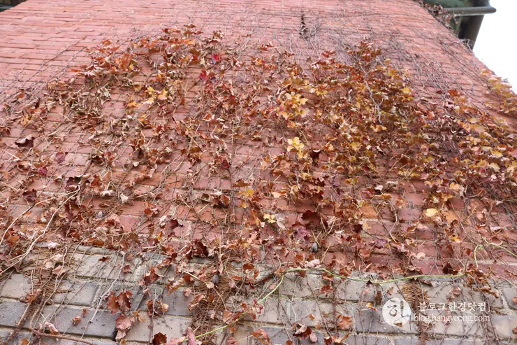 청주 가볼만한곳, 일신여자고등학교 일대 탑동 양관