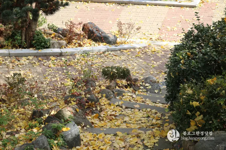 청주 가볼만한곳, 일신여자고등학교 일대 탑동 양관