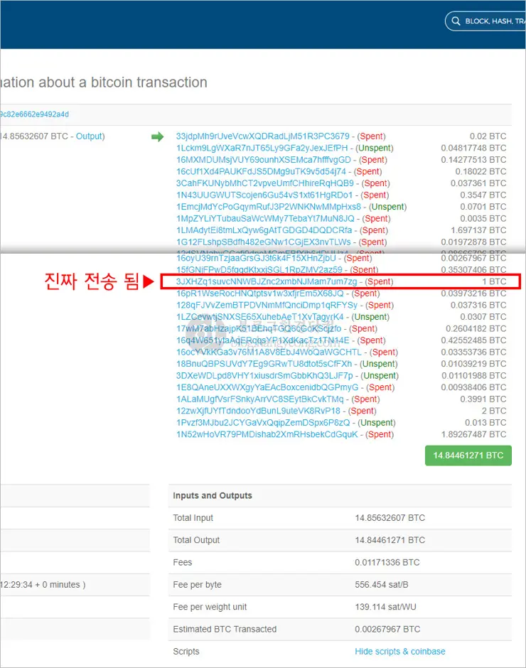 가상화폐, 코인판에 나타난 앵벌이에게 비트코인 1개 (2,000만 원 상당) 기부한 천사
