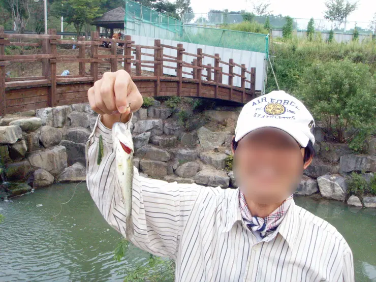 루어낚시 (첫 조과 in 명암천)