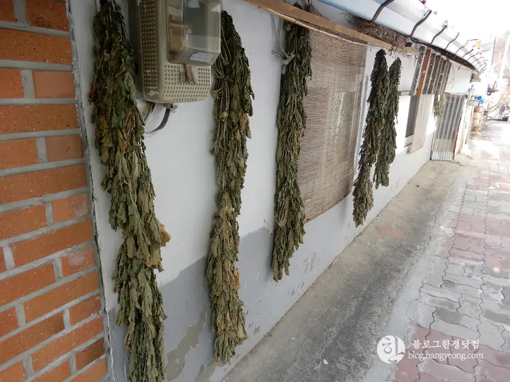 청주 가볼만한곳, 수암골② 벽화마을: 인적이 드문 달동네에서 추억 가득한 마을로