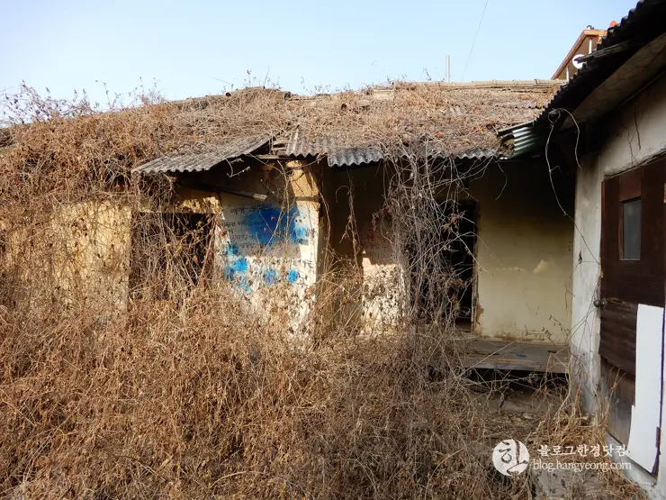 청주 가볼만한곳, 수암골② 벽화마을: 인적이 드문 달동네에서 추억 가득한 마을로