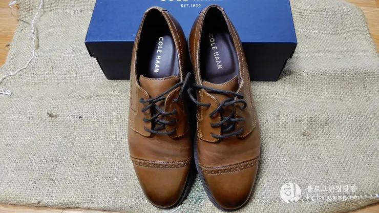 콜한 더스틴 캡 토 옥스포드, Cole Haan Dustin Cap Toe Brogue Oxford II (C25806)