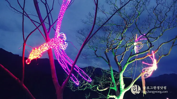 공주시 계룡산 동학사 카페 어썸 845 (Awesome 845), 분위기 좋은 카페