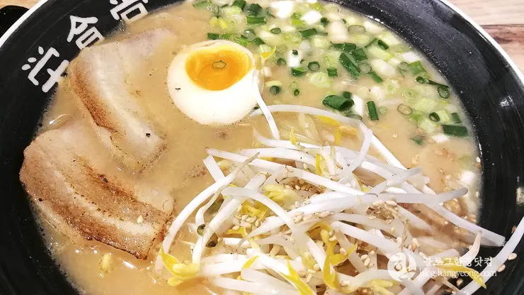 영식당 207 栄食堂 207, 세종시 나성동 일본식 라멘 맛집 내돈내먹