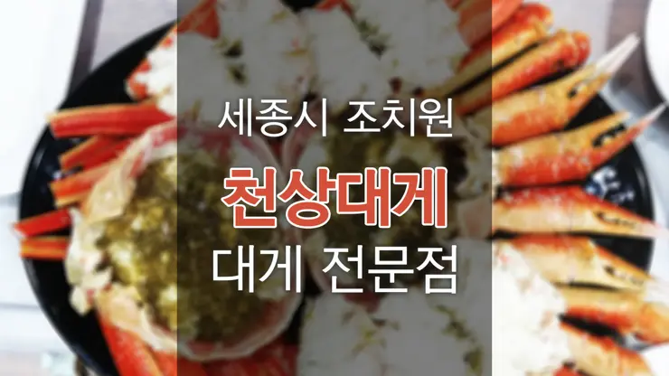 천상대게 세종시 조치원 대게 전문점 내돈내먹