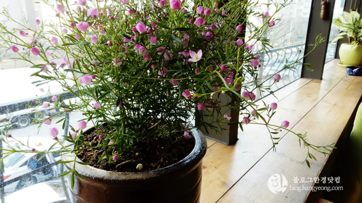 청주 금천광장 북 카페, 트루노스 TRUE NORTH