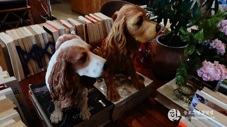 청주 금천광장 북 카페, 트루노스 TRUE NORTH