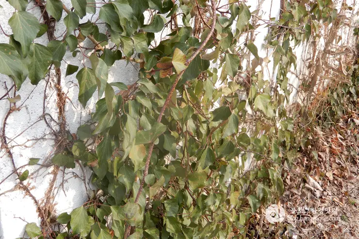 당진 여행, 아미미술관 (Ami Art Museum) 사진 찍기 좋은 곳