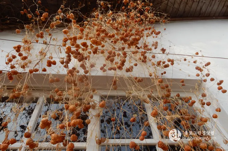 당진 여행, 아미미술관 (Ami Art Museum) 사진 찍기 좋은 곳