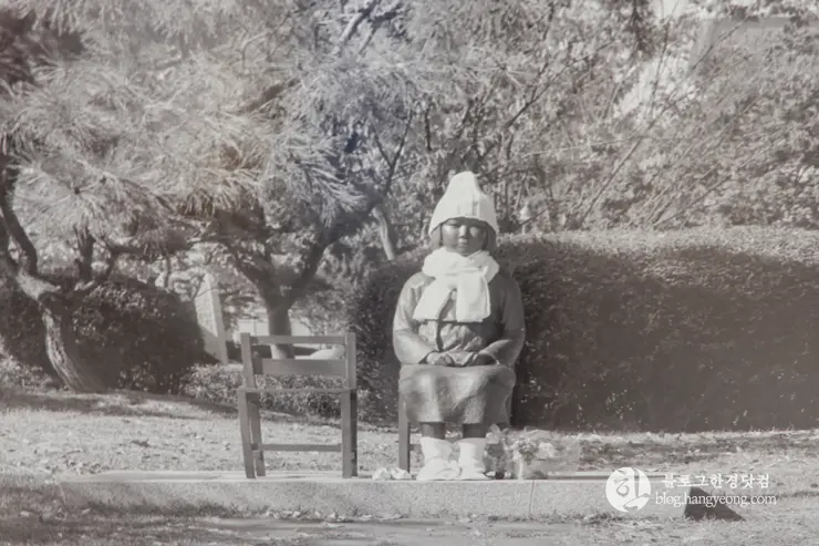 당진 여행, 아미미술관 (Ami Art Museum) 사진 찍기 좋은 곳