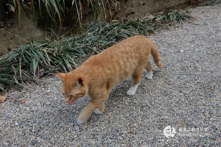 당진 여행, 아미미술관 (Ami Art Museum) 사진 찍기 좋은 곳