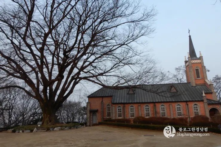 충남 아산, “공세리 성당” 전국에서 가장 아름다운 성당