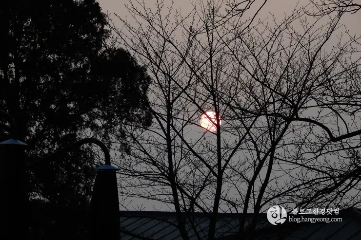충남 아산, “공세리 성당” 전국에서 가장 아름다운 성당