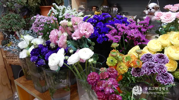 충남 아산, “지중해 마을” 산토리니가 여기에