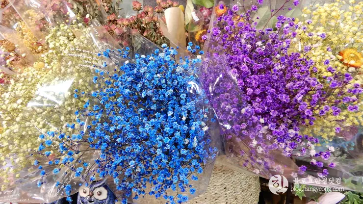 충남 아산, “지중해 마을” 산토리니가 여기에