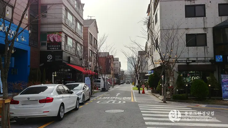 경기도 용인 보정동 카페문화의 거리, 개성 넘치는 카페가 즐비한 곳