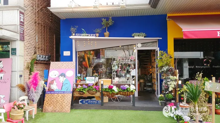 경기도 용인 보정동 카페문화의 거리, 개성 넘치는 카페가 즐비한 곳