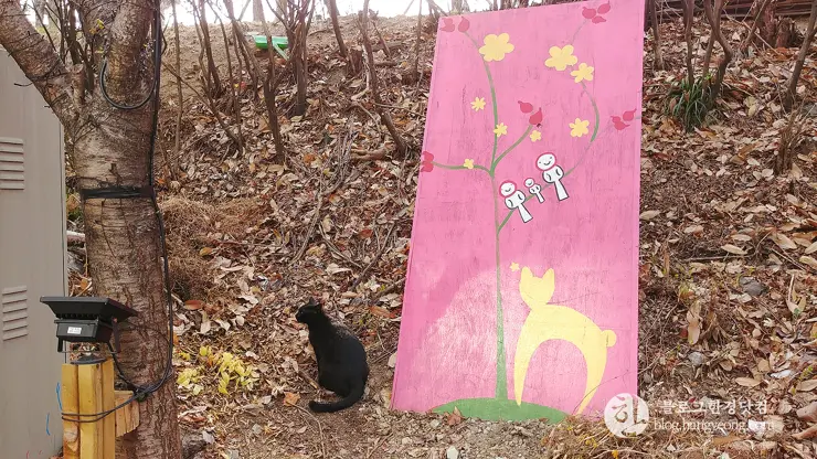 경기도 용인 보정동 카페문화의 거리, 개성 넘치는 카페가 즐비한 곳