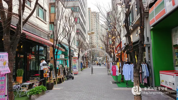 경기도 용인 보정동 카페문화의 거리, 개성 넘치는 카페가 즐비한 곳