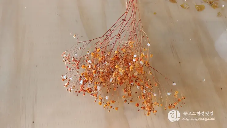 청주 충북대 중문, 편의점 카페 소꿉놀이 도시락