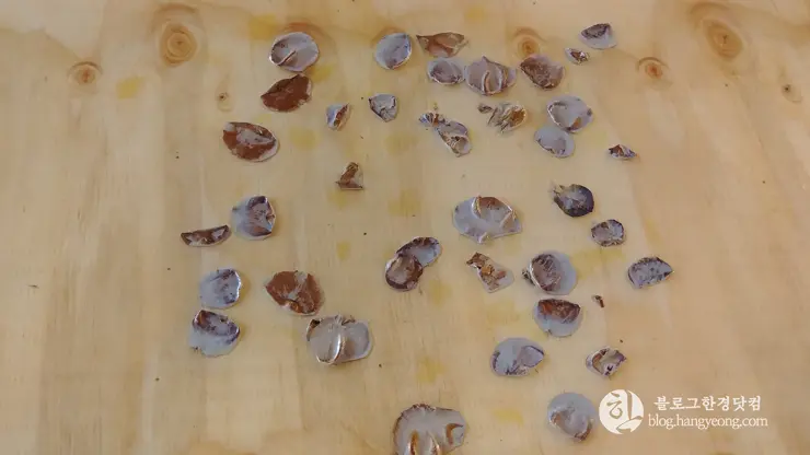 청주 충북대 중문, 편의점 카페 소꿉놀이 도시락