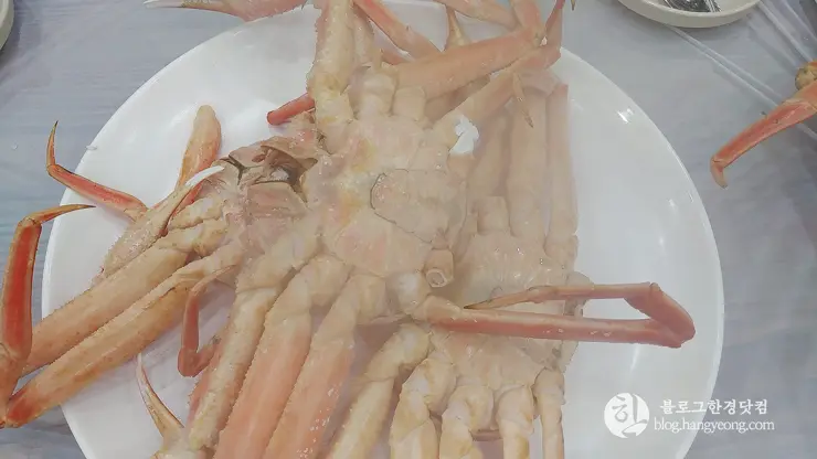 하이벳 수산, 청주 봉명동 대게 랍스터 킹크랩 전문 저렴한 곳 맛집