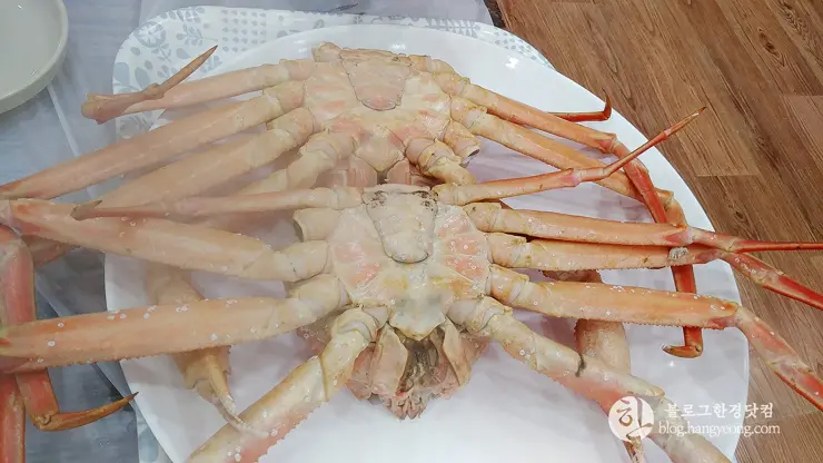하이벳 수산, 청주 봉명동 대게 랍스터 킹크랩 전문 저렴한 곳 맛집