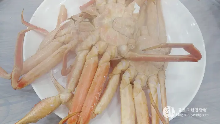 하이벳 수산, 청주 봉명동 대게 랍스터 킹크랩 전문 저렴한 곳 맛집