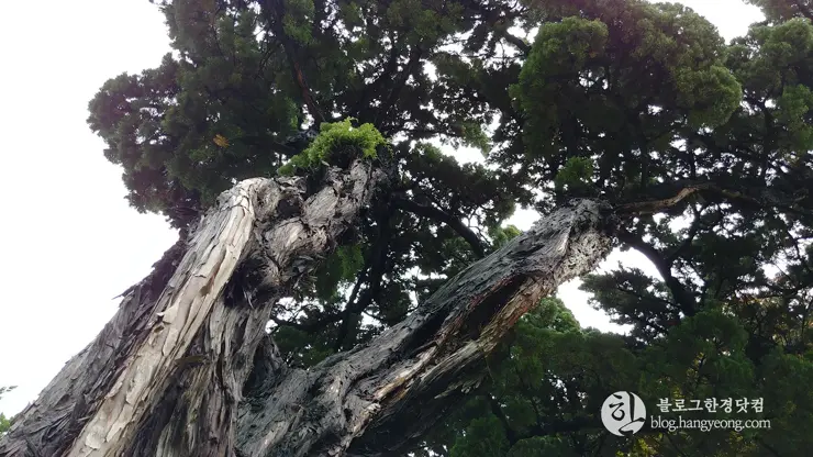 100주년 기념교회, 양화진 선교사 묘역