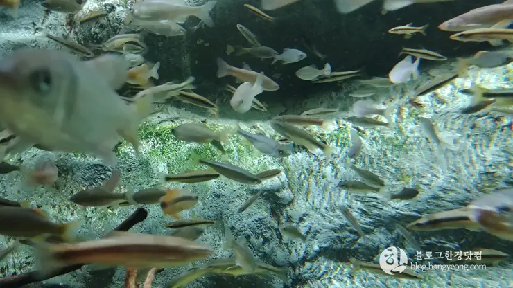 롯데월드 아쿠아리움 제2롯데월드, 잠실 롯데타워