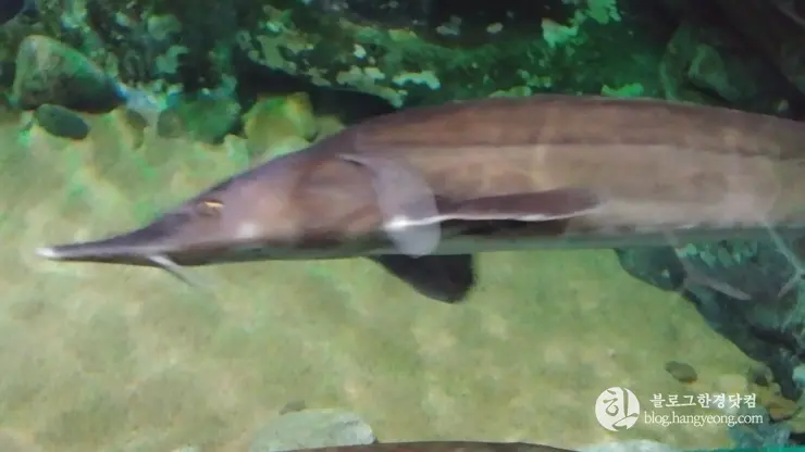 롯데월드 아쿠아리움 제2롯데월드, 잠실 롯데타워