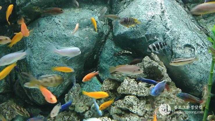 롯데월드 아쿠아리움 제2롯데월드, 잠실 롯데타워