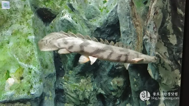 롯데월드 아쿠아리움 제2롯데월드, 잠실 롯데타워