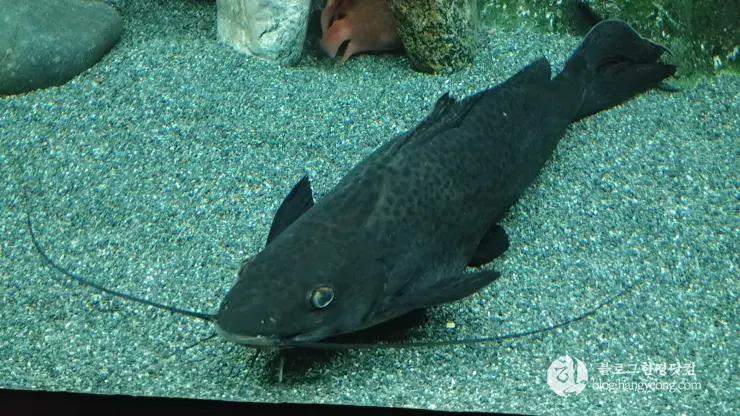 롯데월드 아쿠아리움 제2롯데월드, 잠실 롯데타워