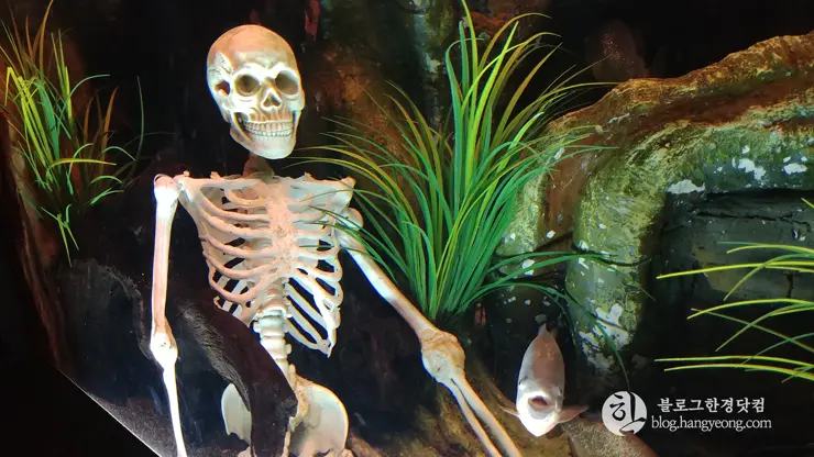 롯데월드 아쿠아리움 제2롯데월드, 잠실 롯데타워