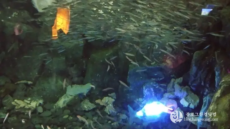 롯데월드 아쿠아리움 제2롯데월드, 잠실 롯데타워