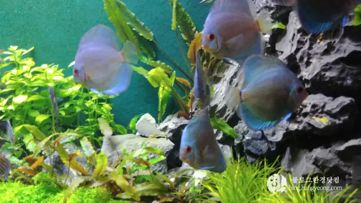 롯데월드 아쿠아리움 제2롯데월드, 잠실 롯데타워