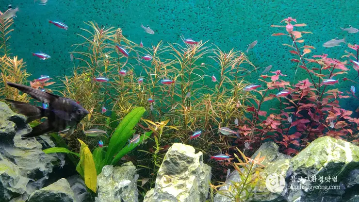 롯데월드 아쿠아리움 제2롯데월드, 잠실 롯데타워