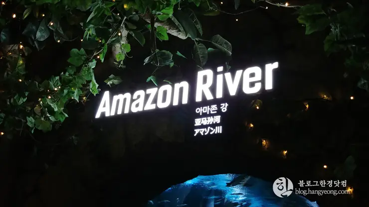 롯데월드 아쿠아리움 제2롯데월드, 잠실 롯데타워