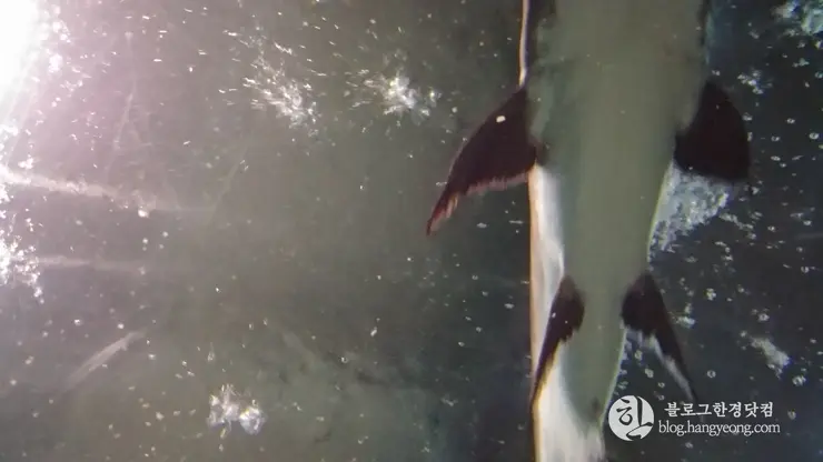 롯데월드 아쿠아리움 제2롯데월드, 잠실 롯데타워