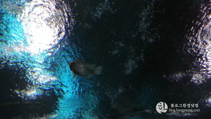 롯데월드 아쿠아리움 제2롯데월드, 잠실 롯데타워