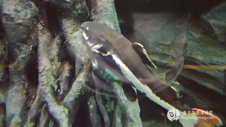 롯데월드 아쿠아리움 제2롯데월드, 잠실 롯데타워