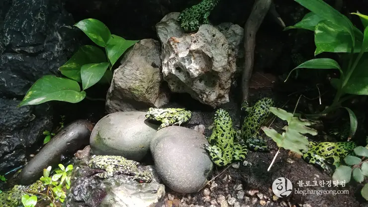 롯데월드 아쿠아리움 제2롯데월드, 잠실 롯데타워