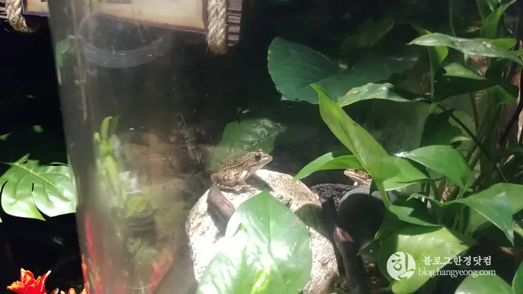 롯데월드 아쿠아리움 제2롯데월드, 잠실 롯데타워