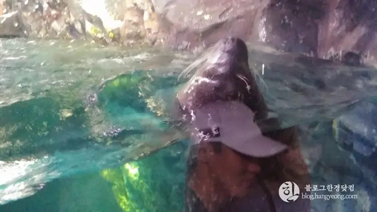 롯데월드 아쿠아리움 제2롯데월드, 잠실 롯데타워